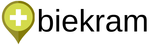 The Decision to Have an Abortion